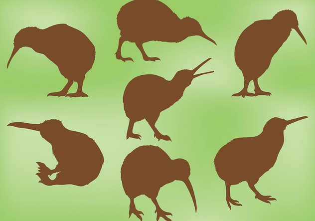 632x443 Free Kiwi Bird Icons Vector Free Vector Download Cannypic
