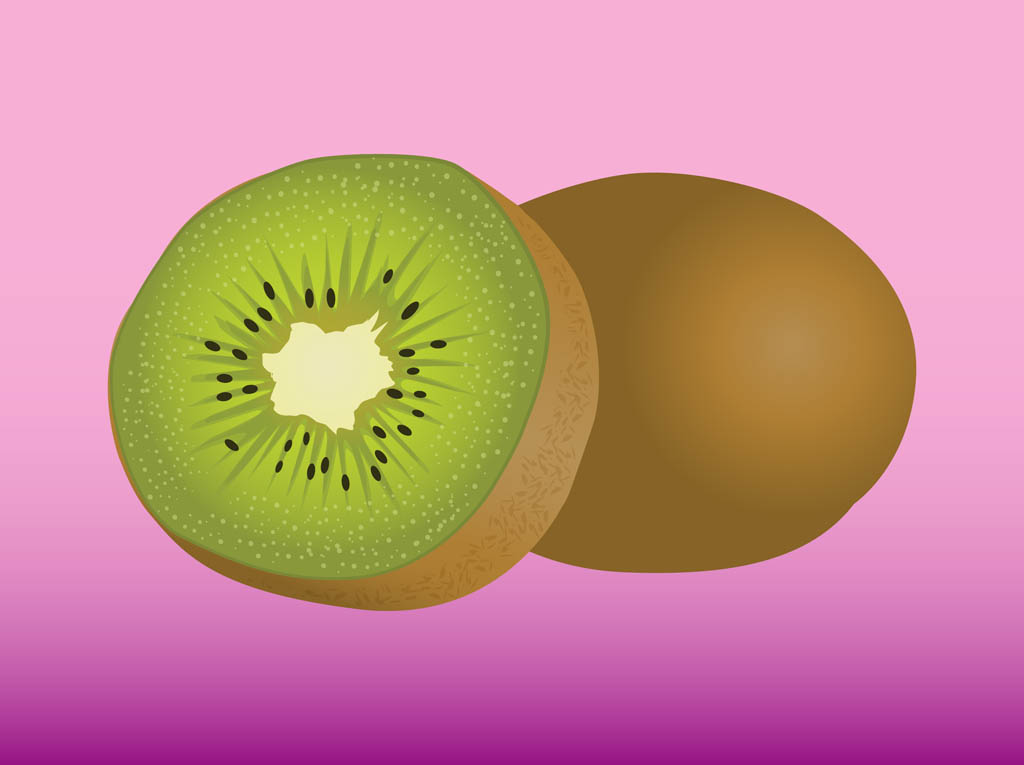 1024x765 Kiwi Vector Art Graphics