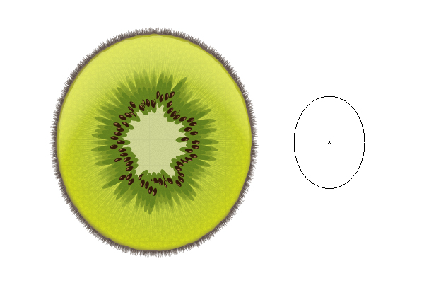 600x400 Create A Sliced Kiwi Fruit With Only One Shape In Adobe Illustrator