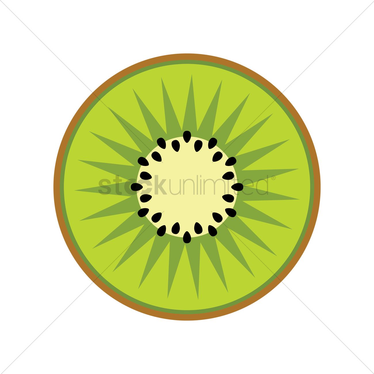 1300x1300 Kiwi Fruit Vector Image