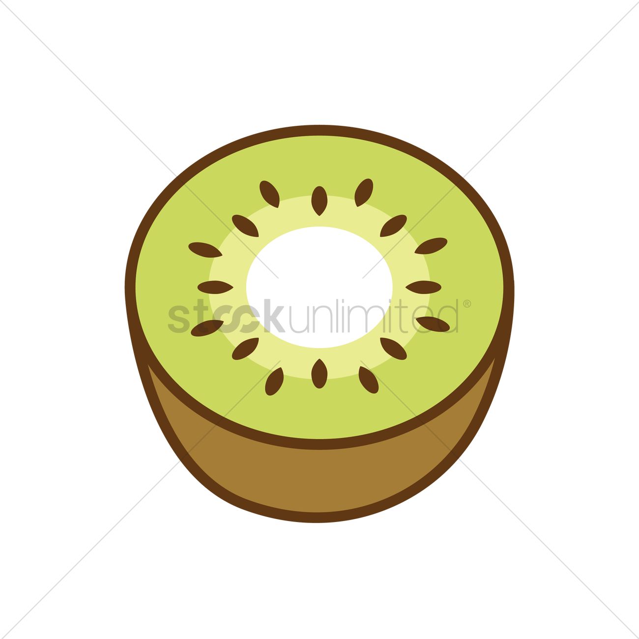 1300x1300 Kiwi Fruit Vector Image