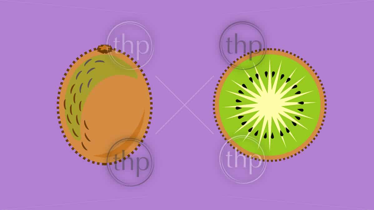 1198x674 Kiwi Fruit Or Kiwifruit Whole And Sliced In Flat Design Vector