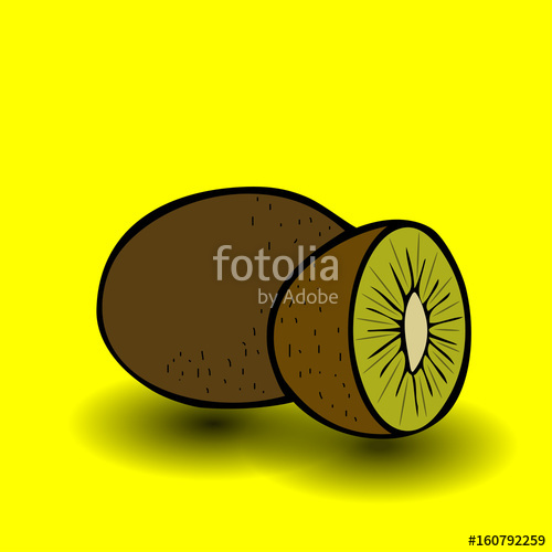 500x500 Kiwi Fruit Vector Illustration Sliced Juice Kiwi On The White