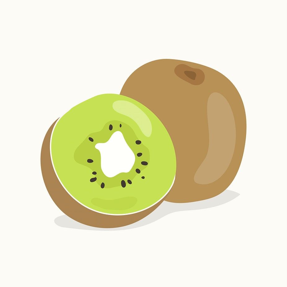 926x926 Download Premium Vector Of Hand Drawn Kiwi Fruit Illustration