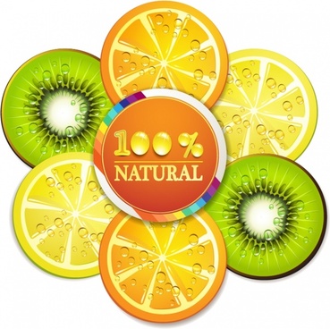 369x368 Vector Kiwi Fruit Free Vector Download