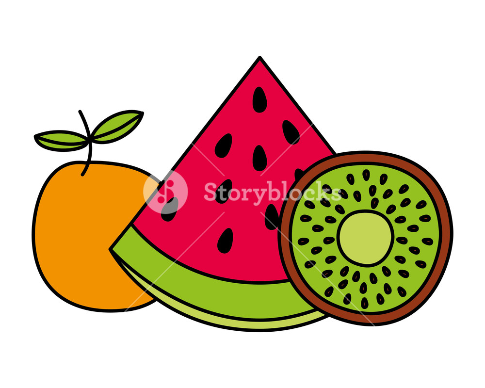 1000x800 Orange Watermelon And Kiwi Fruits Fresh Organic Vector
