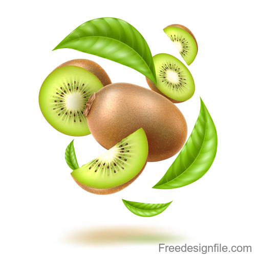 500x500 Fresh Kiwifruit Vector Illustration Material Free Download