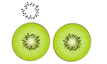 450x270 Illustrator Tutorial How To Draw A Vector Kiwi