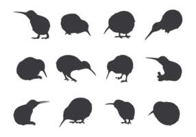 286x200 Kiwi Free Vector Art