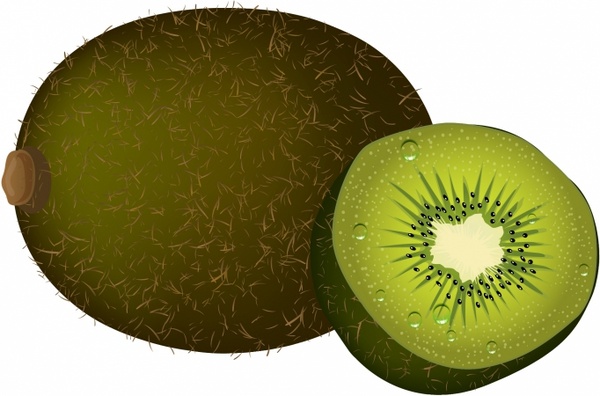 600x396 Kiwi Free Vector In Adobe Illustrator
