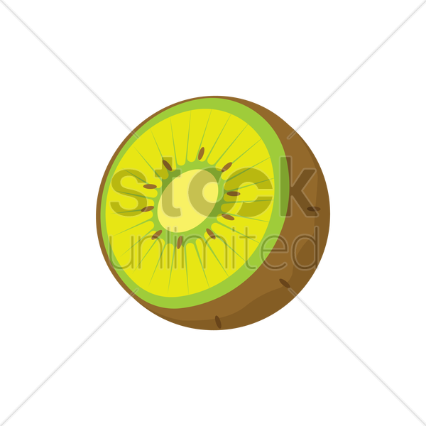 600x600 Kiwi Vector Image