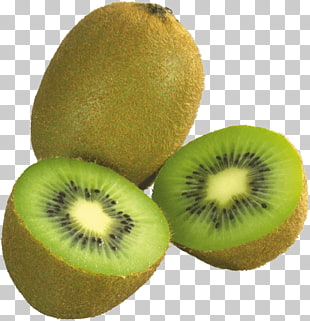 310x321 Kiwi Vector Png Cliparts For Free Download Uihere