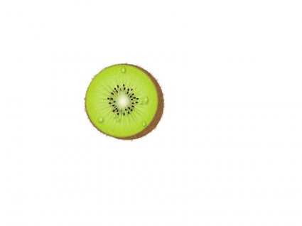425x318 Kiwi Vector Misc Free Vector Free Download