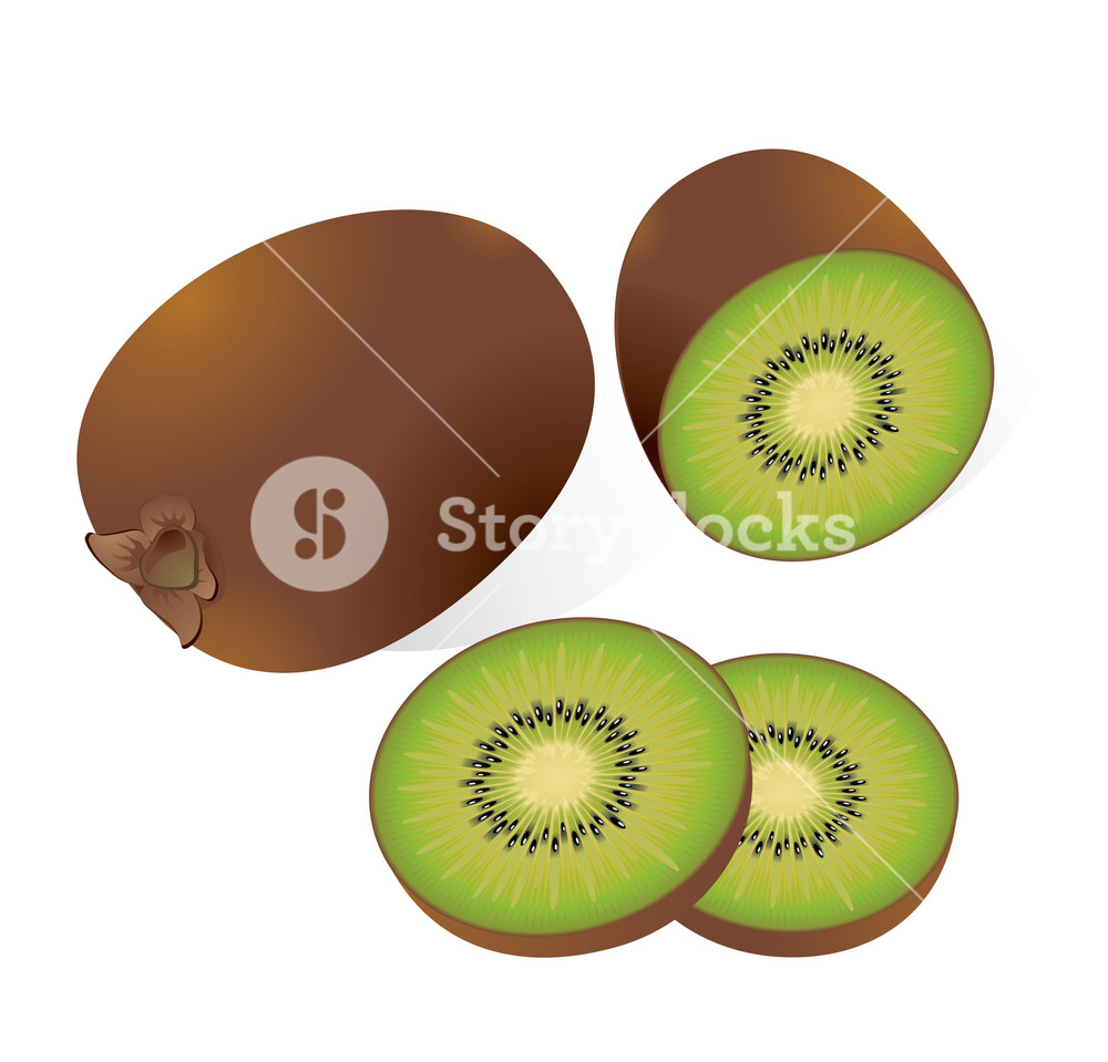 1000x959 Kiwi Vector Illustration Royalty Free Stock Image