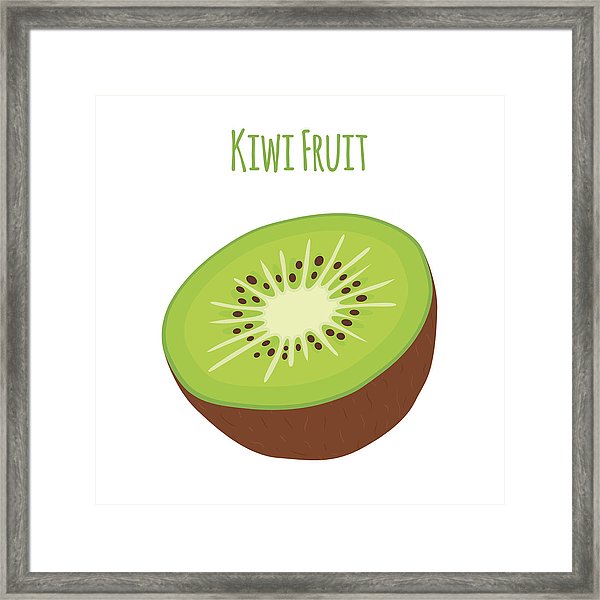 600x600 Tropical Fruit, Exotic Kiwi Cartoon Slice Of Kiwi Vector