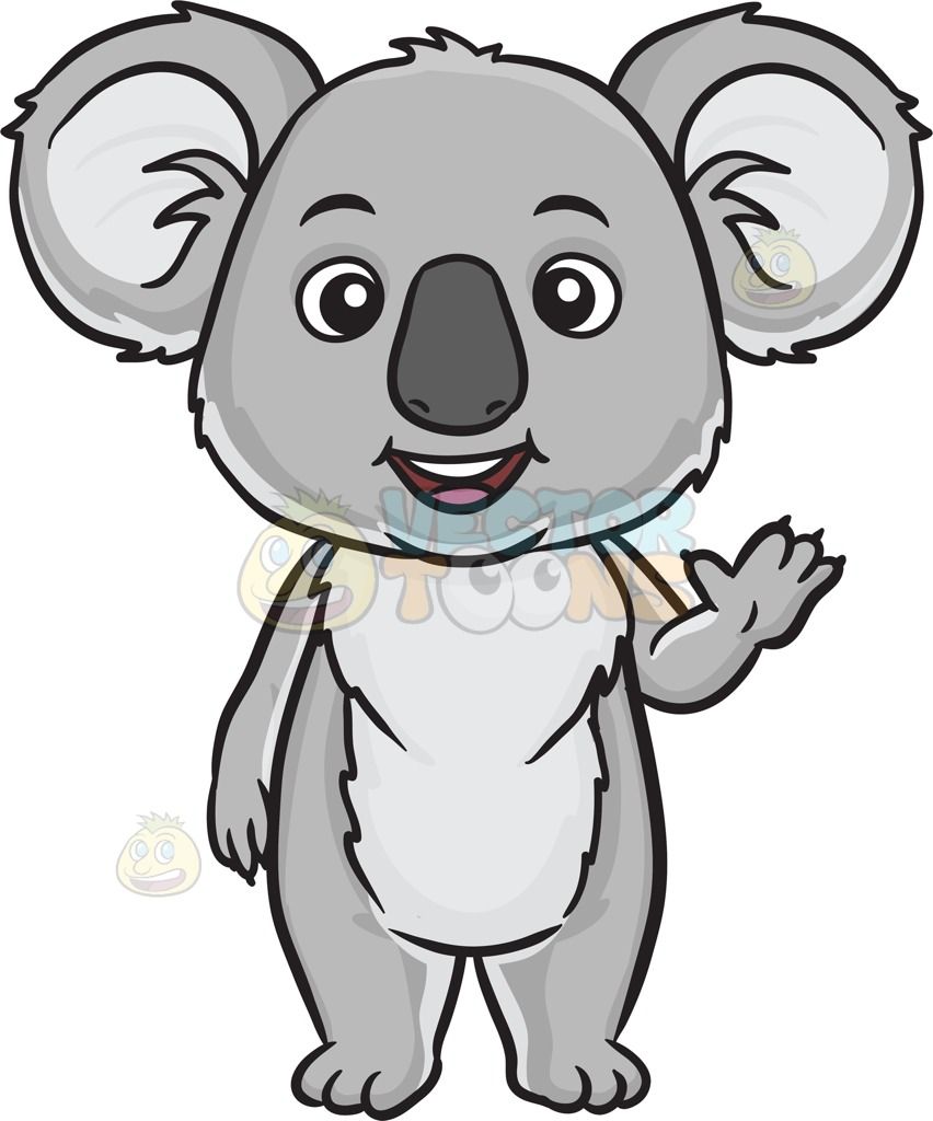852x1024 Koala Bear Animals Bear, Cartoon, Sweet