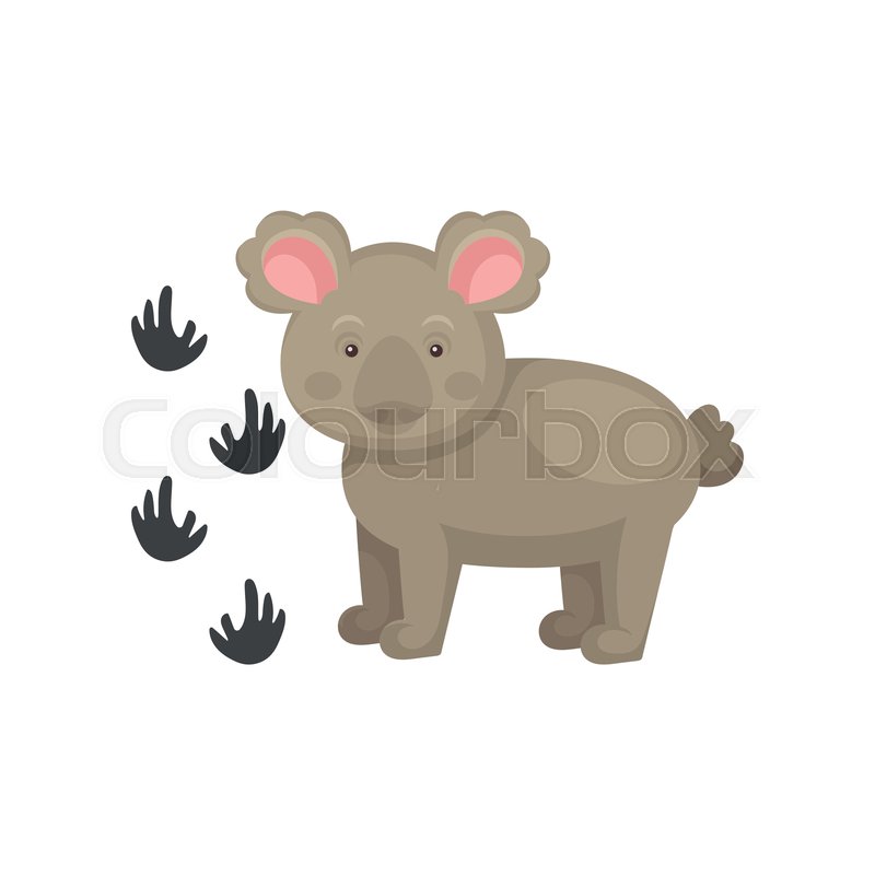 800x800 Adorable Koala Bear And His Footprints Stock Vector Colourbox