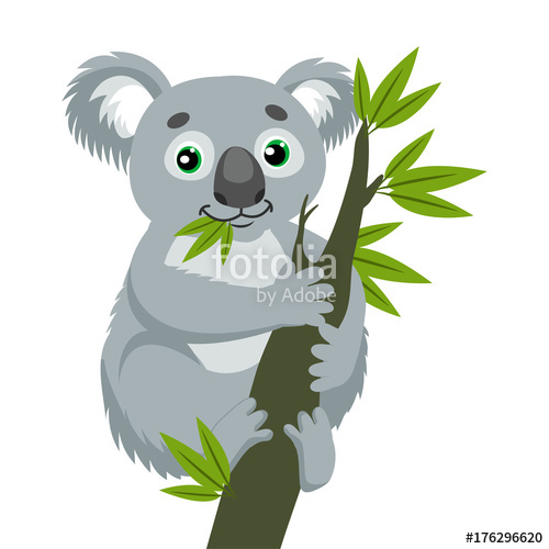500x500 Koala Bear On Wood Branch With Green Leaves Australian Animal