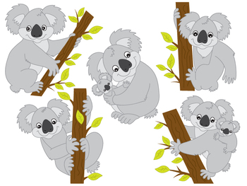 350x263 Koala Clipart