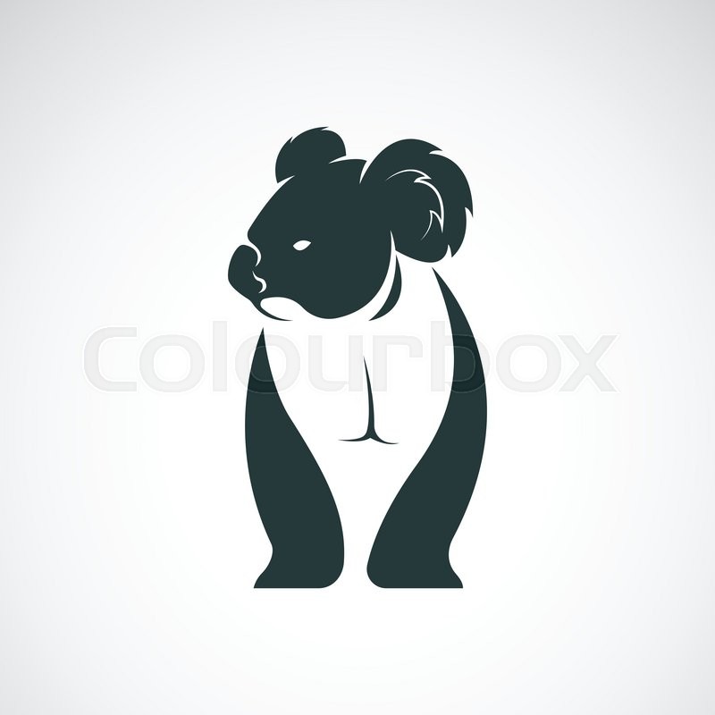 800x800 Vector Image Of An Koala Bear Design Stock Vector Colourbox