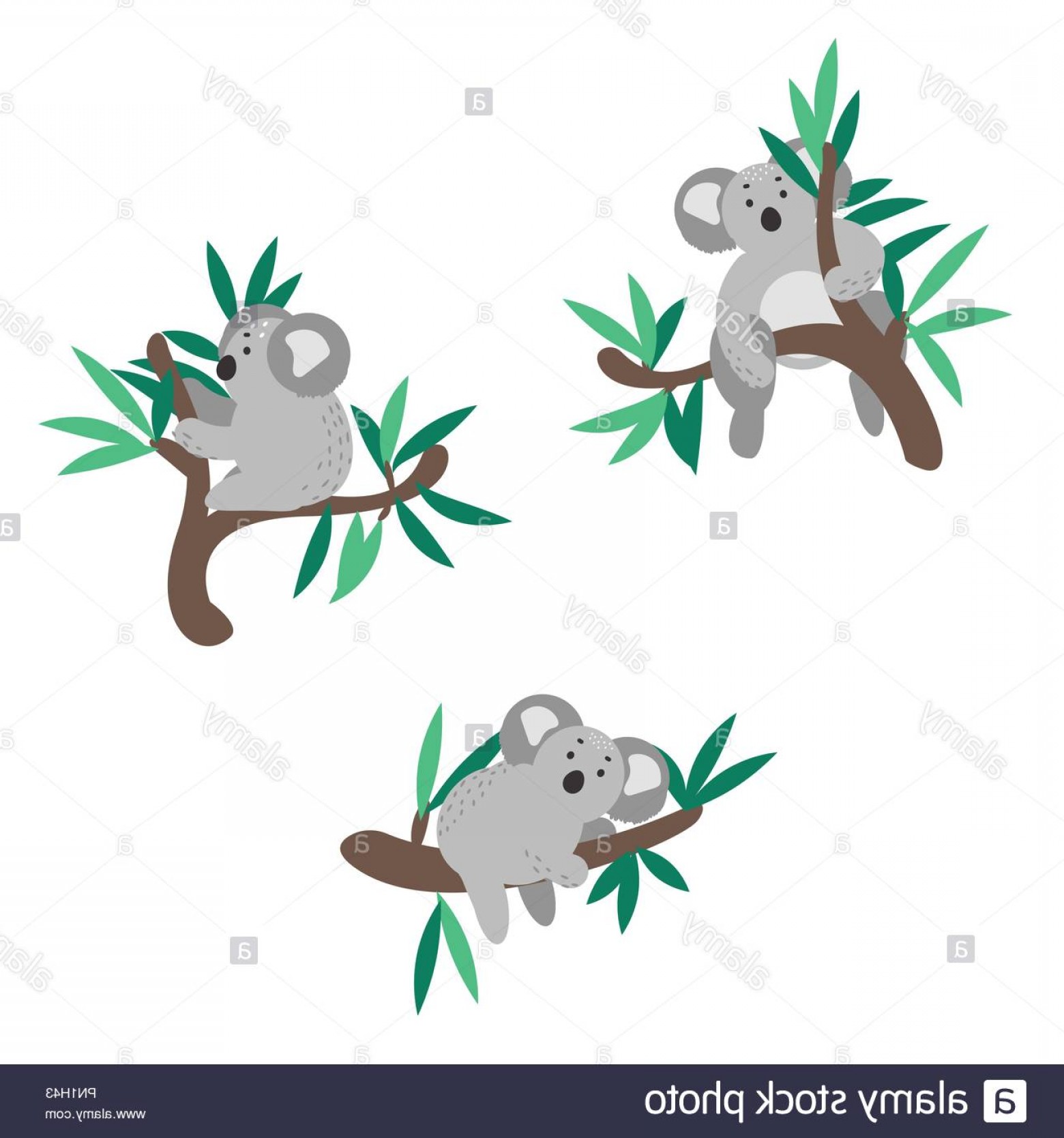 1560x1668 Cute Koala Bear Climbing On Eucalyptus Tree Vector Clipart Image