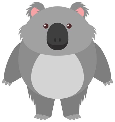 463x490 Cute Koala Bear On White Background