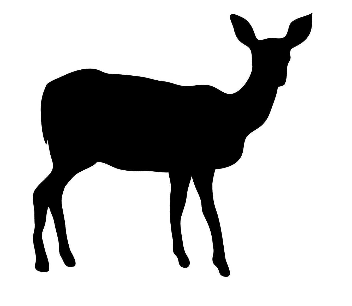 Koala Silhouette Vector