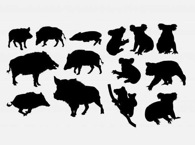626x465 Boar And Koala Wild Animal Silhouette Vector Premium Download