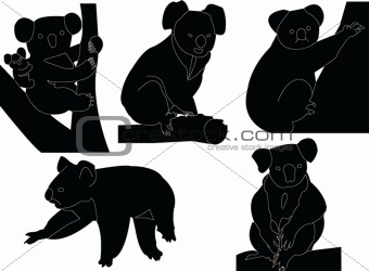 340x250 Image Koala Silhouette Collection From Crestock Stock Photos