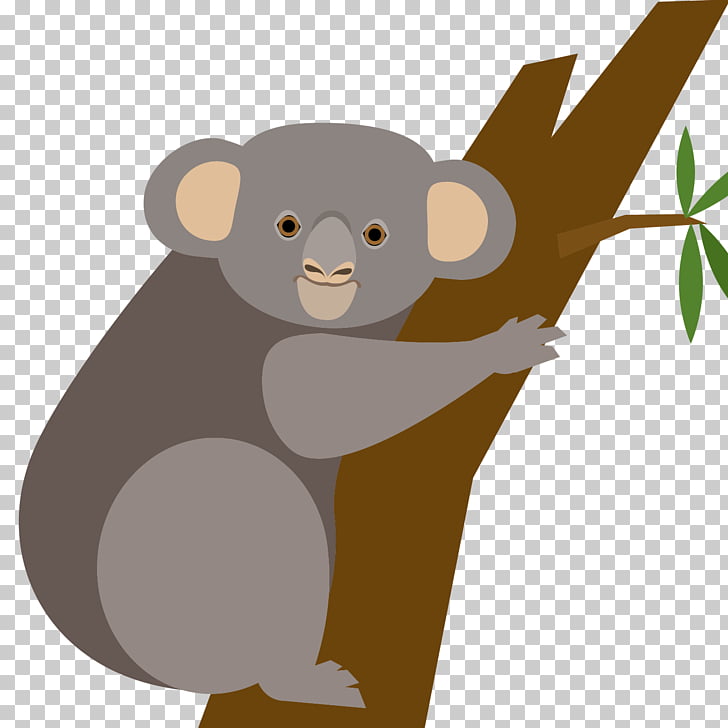 Koala Vector