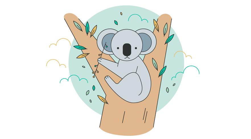882x490 Koala Vector