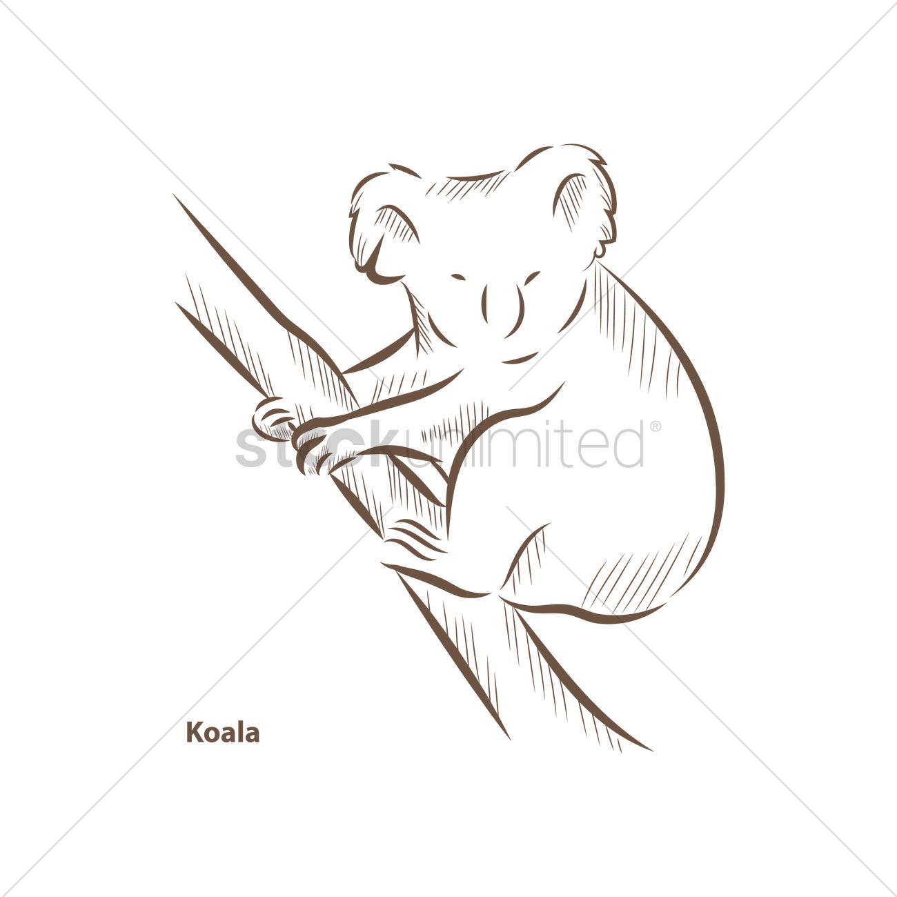 Koala Vector at Vectorified.com | Collection of Koala Vector free for ...