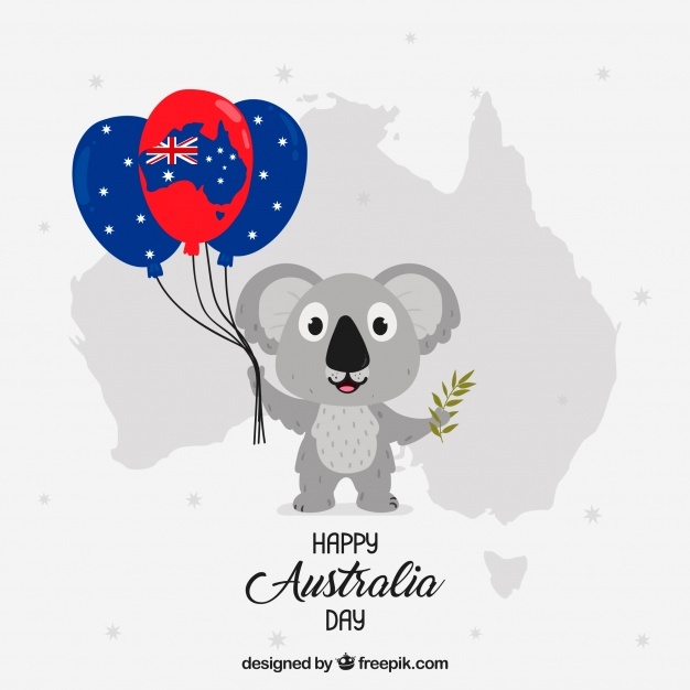 626x626 Koala Vectors, Photos And Free Download