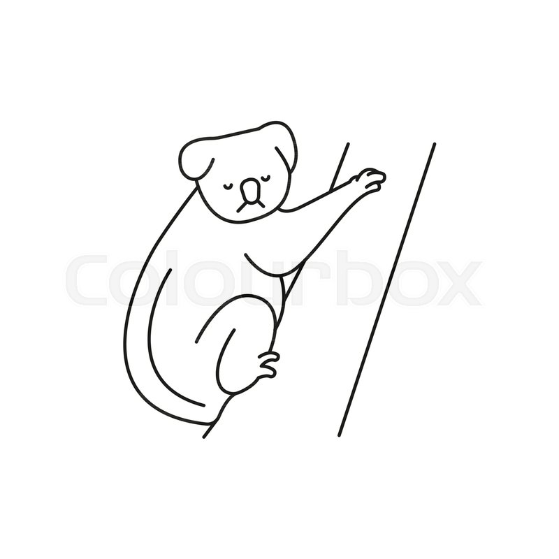 800x800 Koala Icon Outline Koala Vector Icon Stock Vector Colourbox