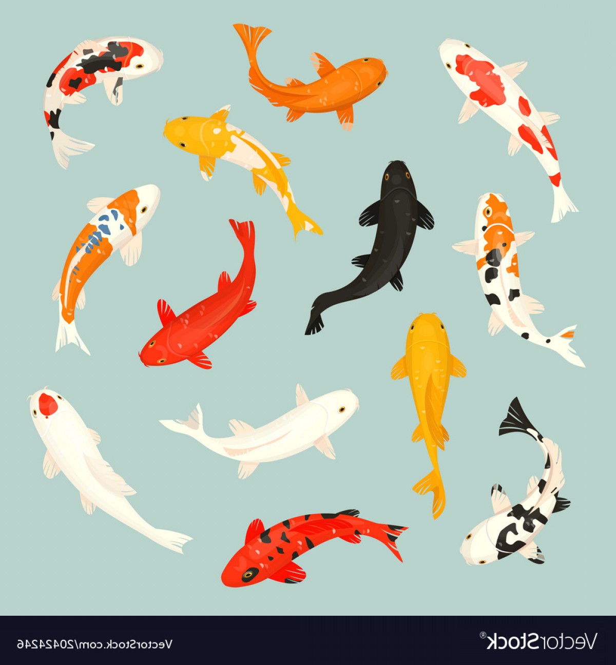 1200x1296 Koi Fish Japanese Carp And Vector Lamaison