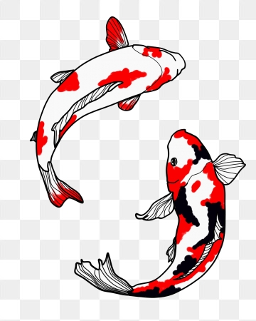 360x450 Koi Fish Png Images Vector And Free Download