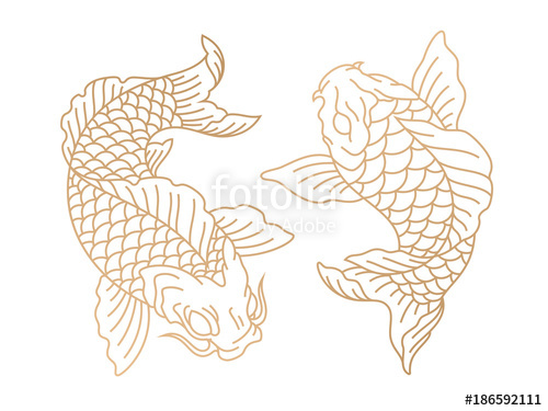 500x375 Koi Fish Japanese Carp Fish Vector Illustration Stock Image