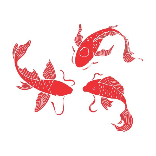 600x600 Animals Fish Graphic, Fish Drawings