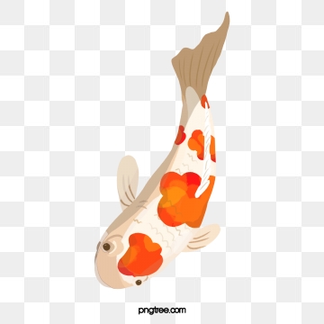 Koi Fish Png Images Vector And Free Download 360x360 Koi Fish Png Images Vector And Free Download