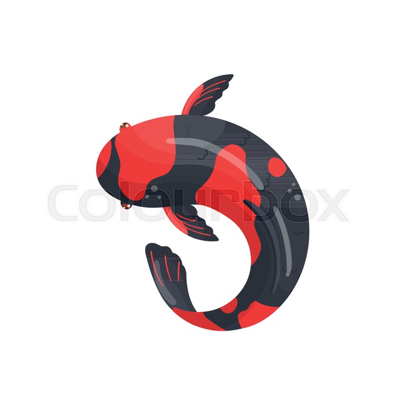 Utsurimono Carp Koi Fish, Traditional Stock Vector Colourbox 800x800 Utsurimono Carp Koi Fish, Traditional Stock Vector Colourbox