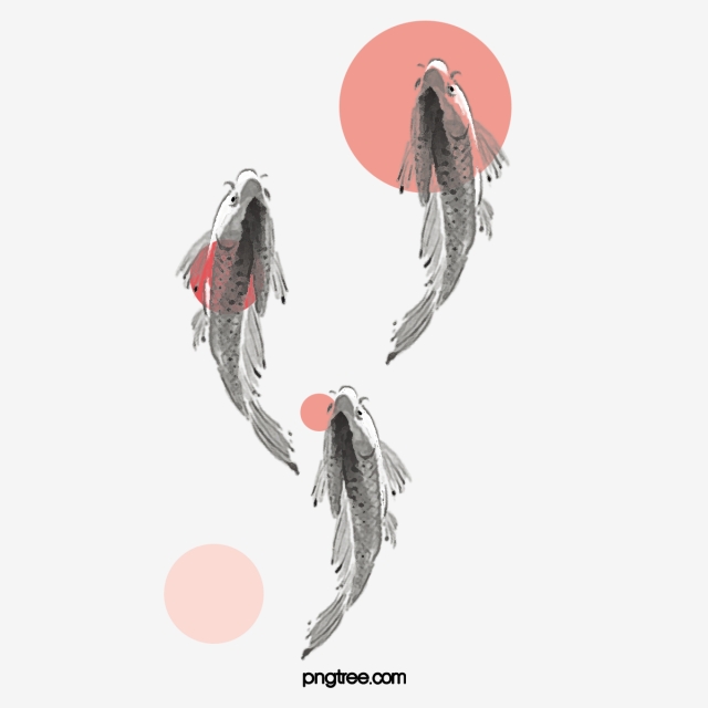 Vector Illustration Koi, Koi, Fish, Vector Png And Vector 640x640 Vector Illustration Koi, Koi, Fish, Vector Png And Vector