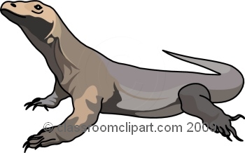 350x218 Komodo Dragon Clipart