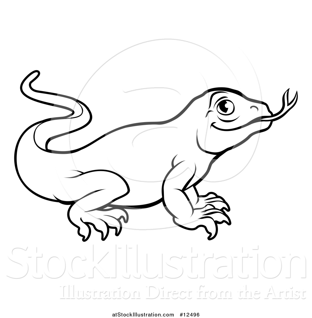 1024x1044 Vector Illustration Of A Lineart Komodo Dragon Lizard