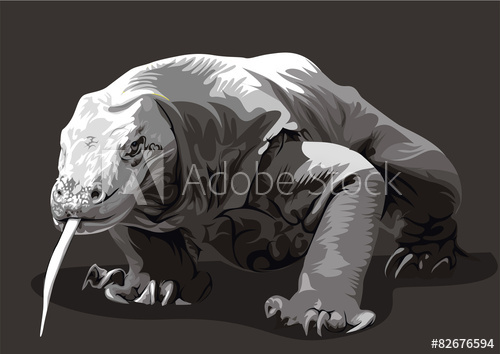 500x354 Komodo Dragon Vector
