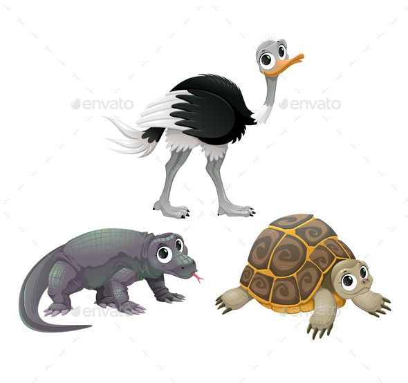 590x554 Funny Australian Animals Ostrich, Turtle And Komodo Dragon