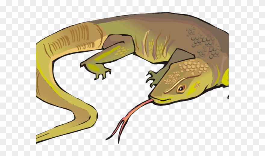 880x517 Huge Collection Of 'komodo Dragon Clipart' Download More Than