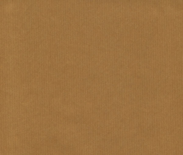 Kraft Paper Texture Vector