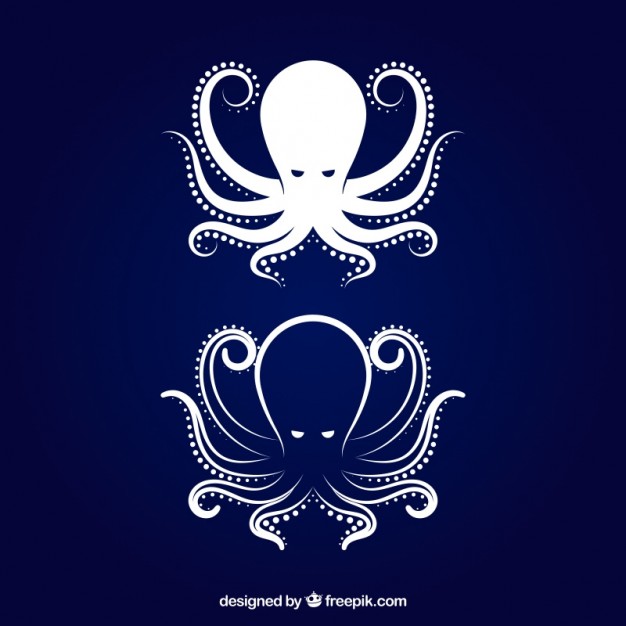 626x626 Kraken Vectors, Photos And Free Download