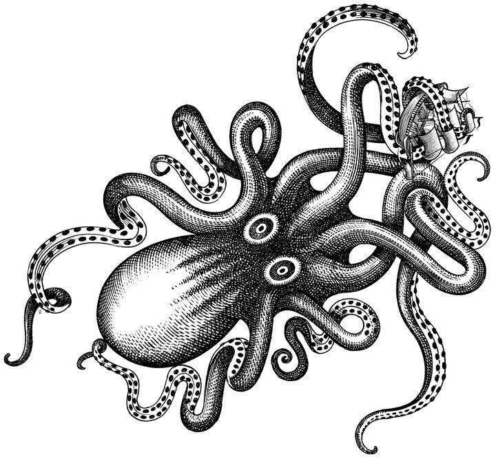 720x667 Octopus Clipart Kraken Clip For Free Download And Use Images