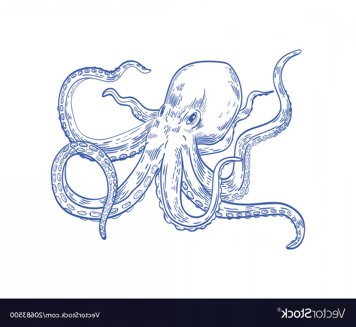 Kraken Vector at Vectorified.com | Collection of Kraken Vector free for ...